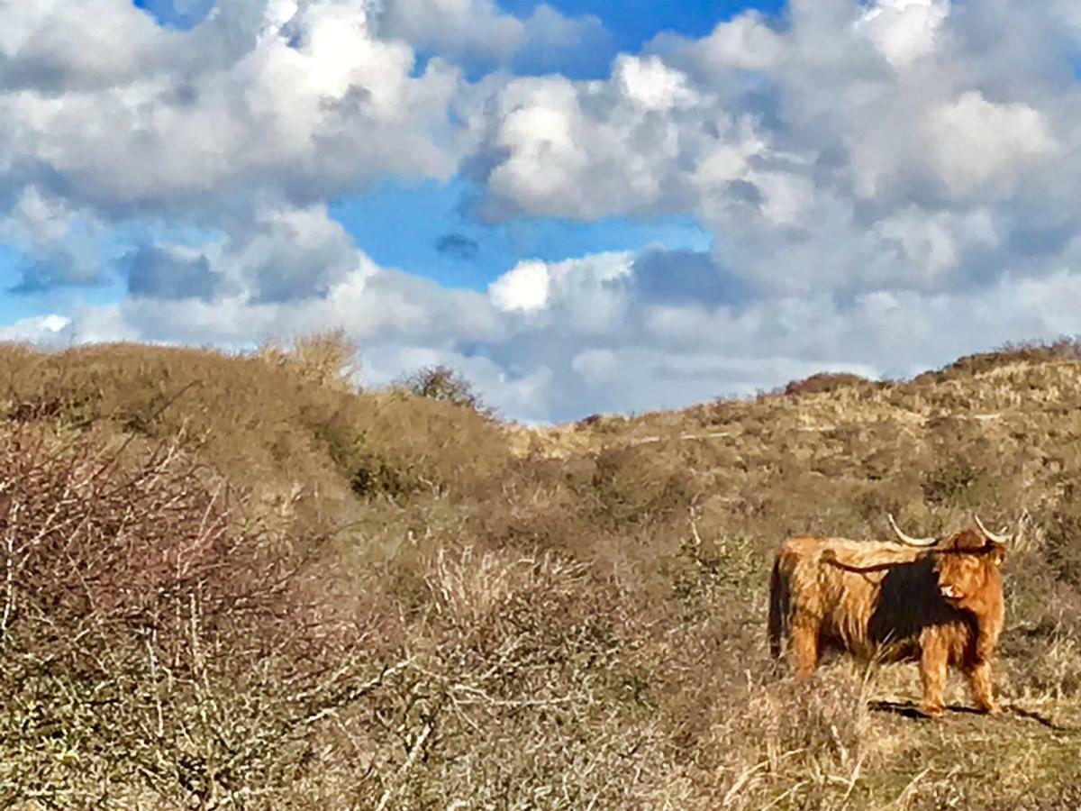 Achter De Duinen Apartment Zandvoort Luaran gambar